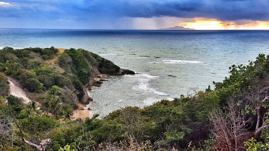 Park Royal Homestay Club Cala Puerto Rico Умакао Экстерьер фото